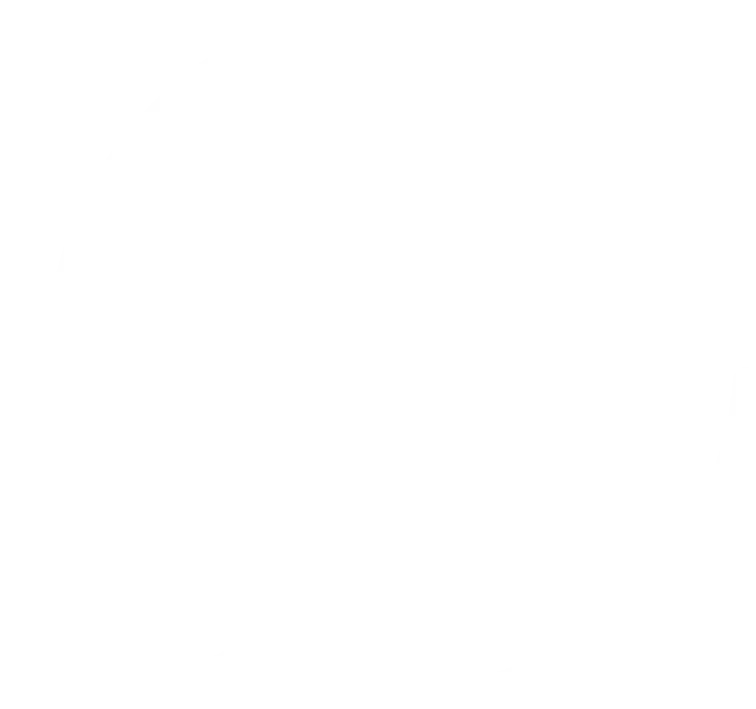 Background dos feedbacks - Anodex